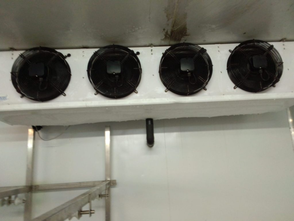 whatsapp image 2026 03 20 at 10.57.21 am