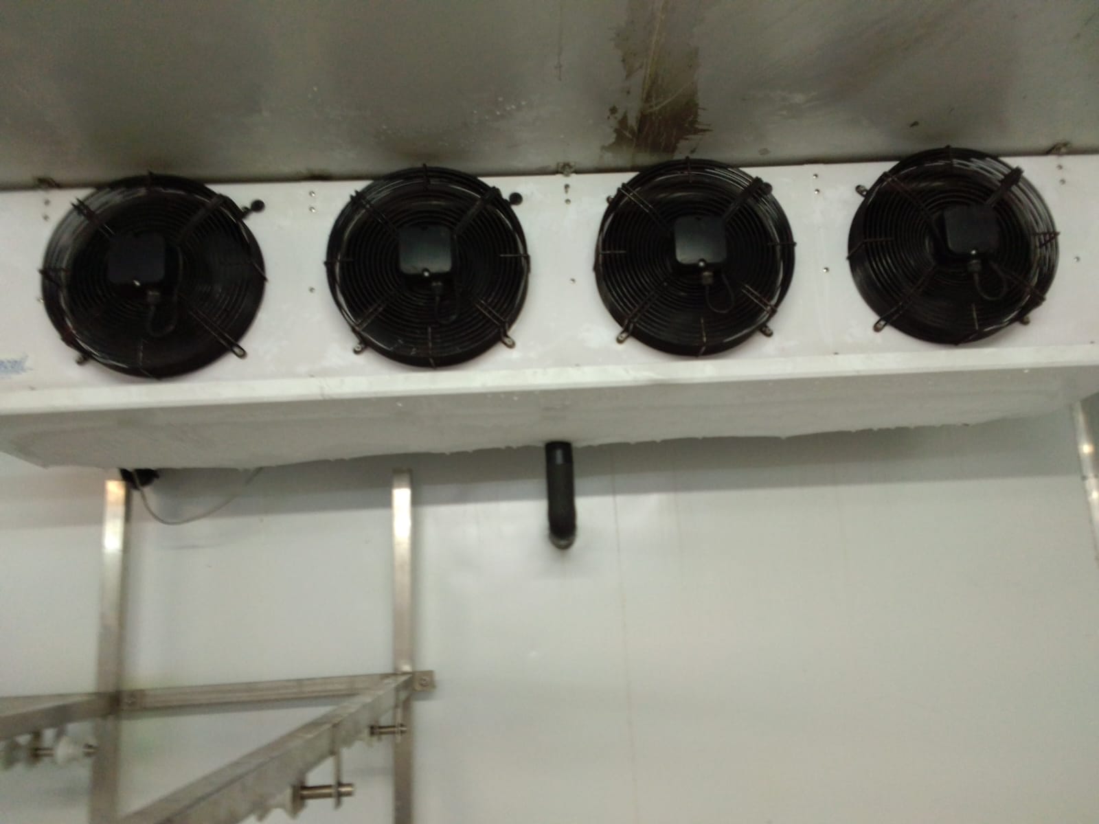 whatsapp image 2026 03 20 at 10.57.21 am